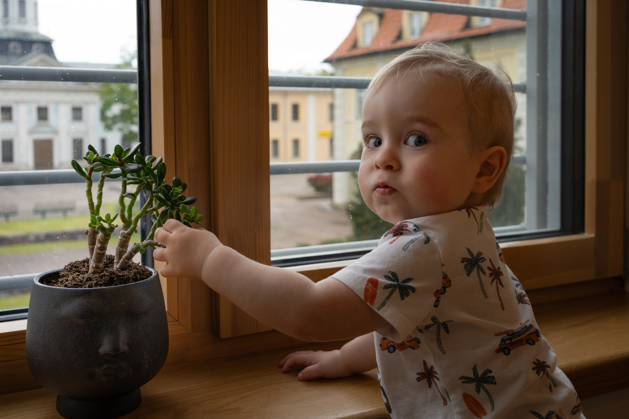 Baby boy playing with a plant on a windowsill during indoor family photography with natural light.